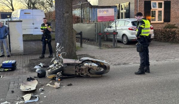 IMG_7876-aspect-ratio-800-500