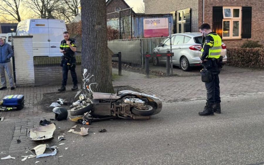 IMG_7876-aspect-ratio-800-500