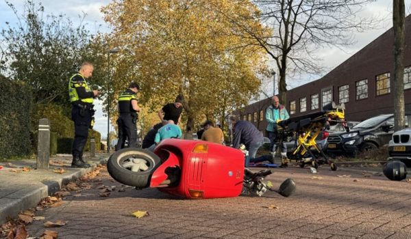 IMG_7952-aspect-ratio-800-500