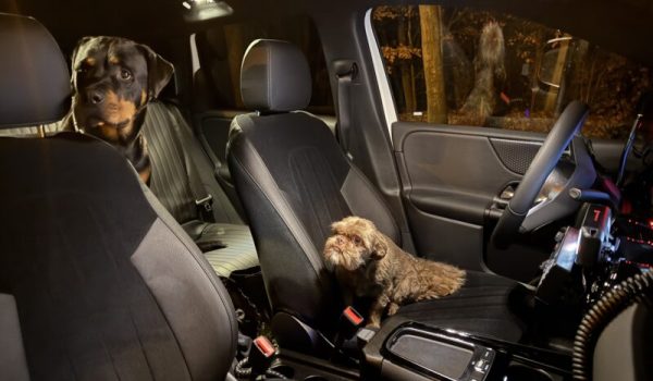 IMG_7995-aspect-ratio-800-500