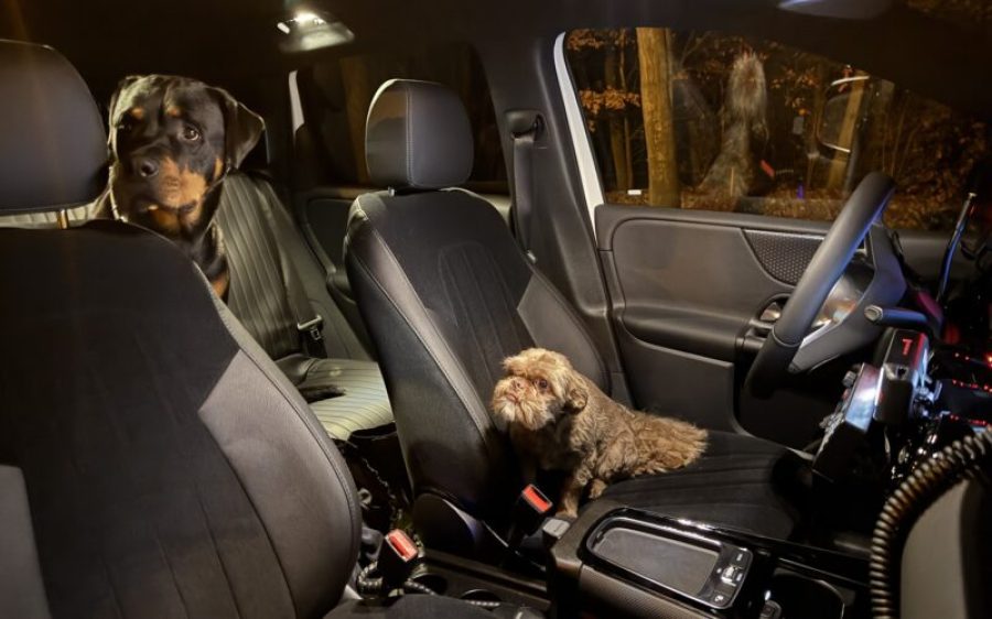 IMG_7995-aspect-ratio-800-500