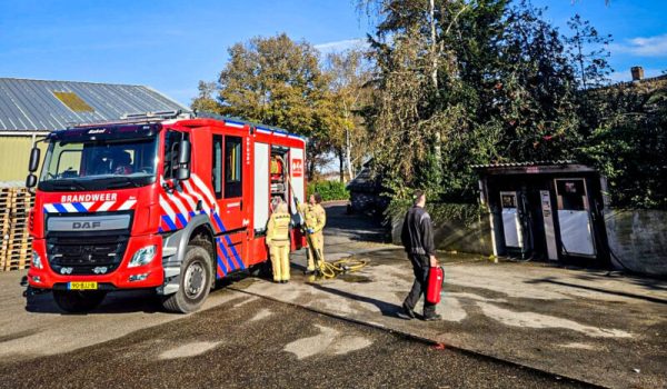 IMG_8305-aspect-ratio-800-500