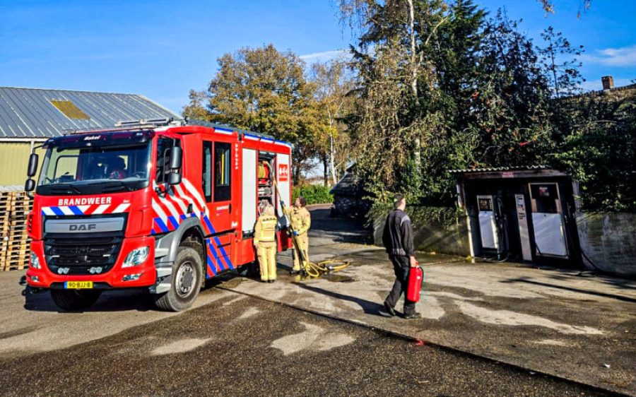 IMG_8305-aspect-ratio-800-500