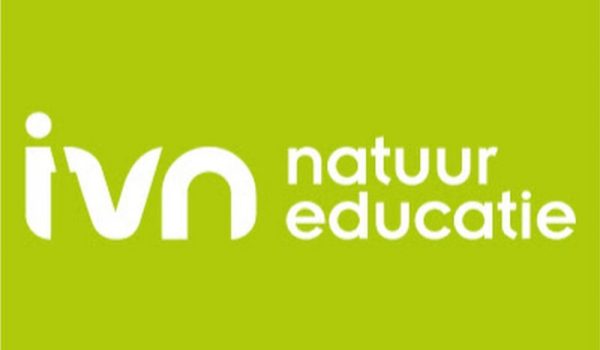 IVN-1-aspect-ratio-800-500