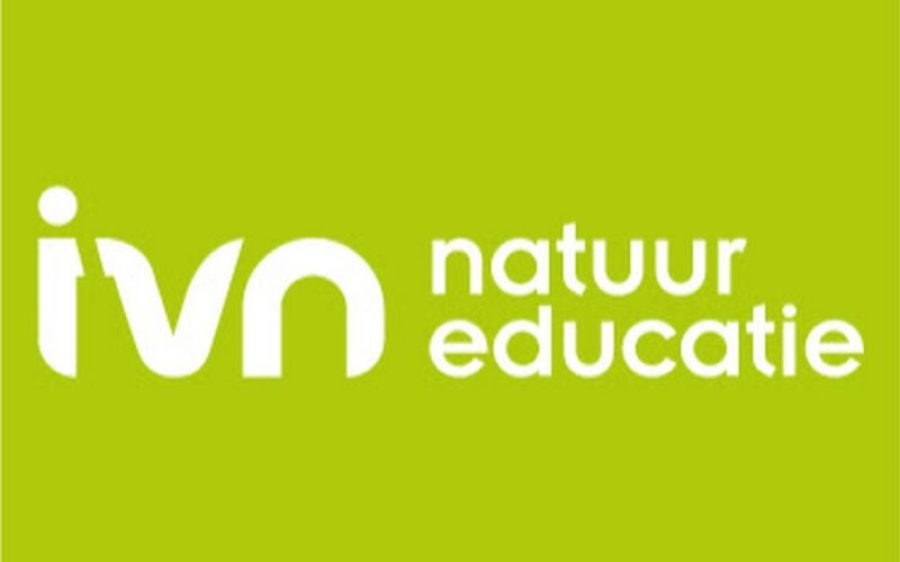 IVN-1-aspect-ratio-800-500