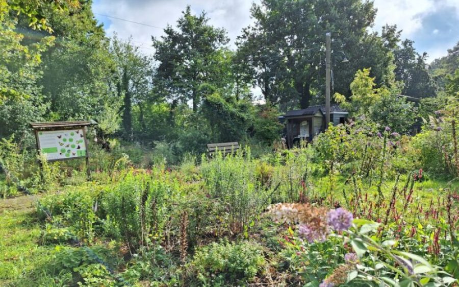 IVN-Gemert-Bakel-aspect-ratio-800-500