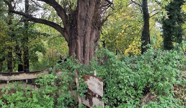 IVN-Laarbeek-aspect-ratio-800-500