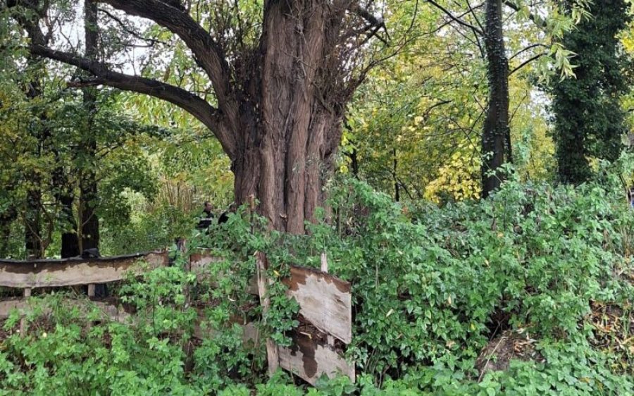 IVN-Laarbeek-aspect-ratio-800-500