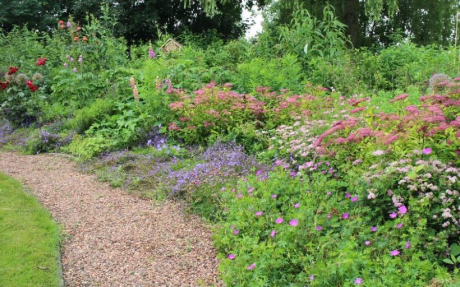 Image-2-aspect-ratio-800-500