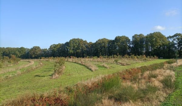 Janmiekeshoeve-aspect-ratio-800-500