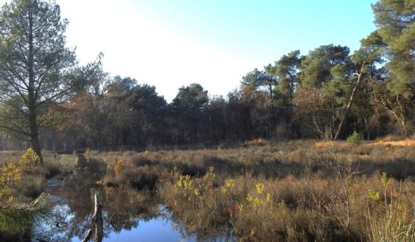 Kamerven-aspect-ratio-800-500