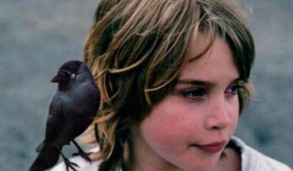 Kauwboy-Film-aspect-ratio-800-500