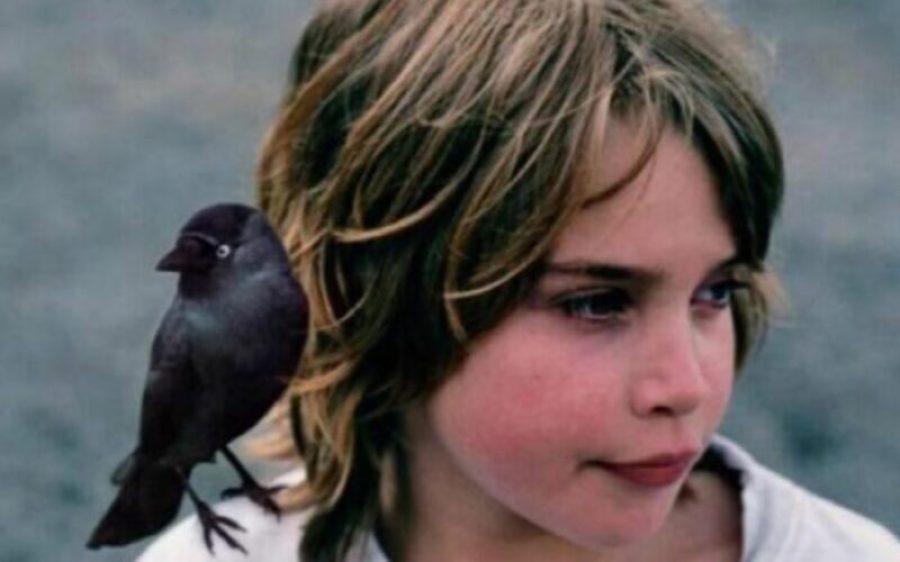 Kauwboy-film-aspect-ratio-800-500