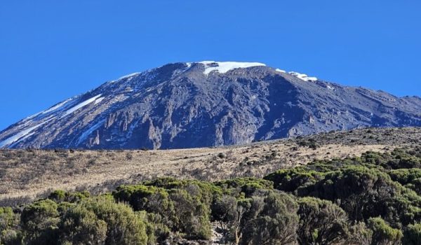 Kilimanjaro-aspect-ratio-800-500