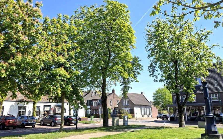 Kruising-Dorpsstraat-Wilhelminalaan-2-aspect-ratio-800-500