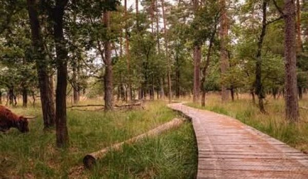 Land-van-de-Peel-fb-aspect-ratio-800-500