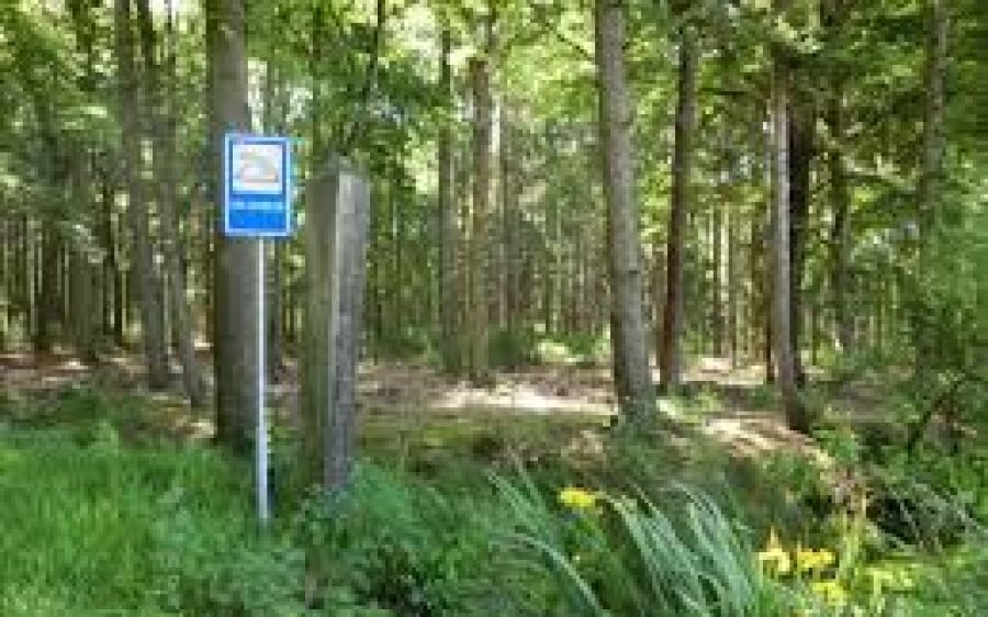 Land-van-de-Peel.nl_-aspect-ratio-800-500