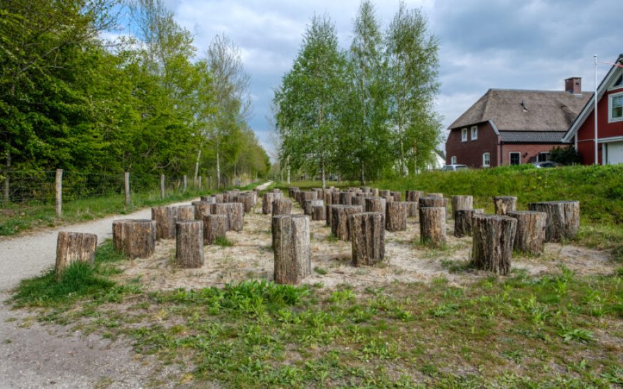 Landweren-in-Gemert-aspect-ratio-800-500