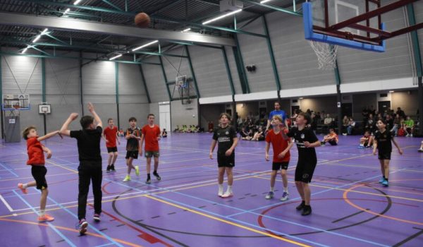 MDG_9333-3.JPG-kopie-scaled-aspect-ratio-800-500