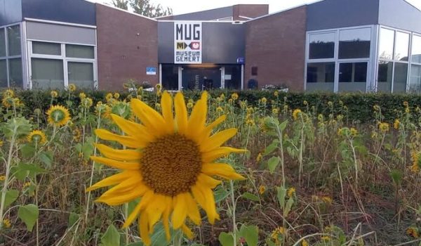 Mug-Museum-Gemert-aspect-ratio-800-500