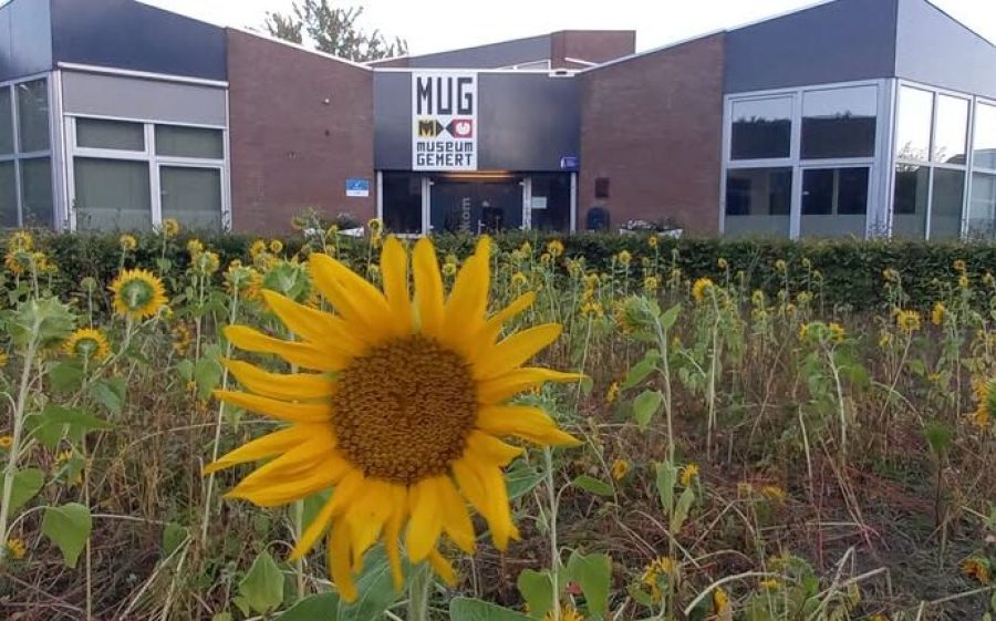 Mug-Museum-Gemert-aspect-ratio-800-500