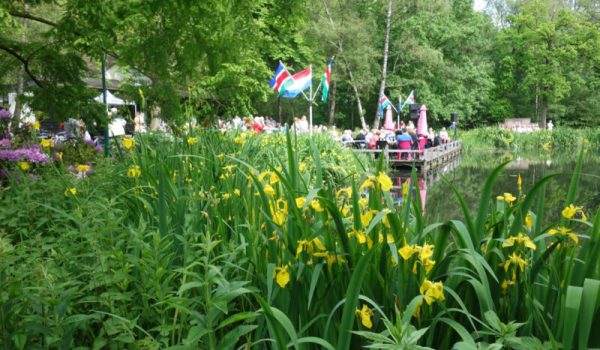 Muziektuin.nl_-aspect-ratio-800-500