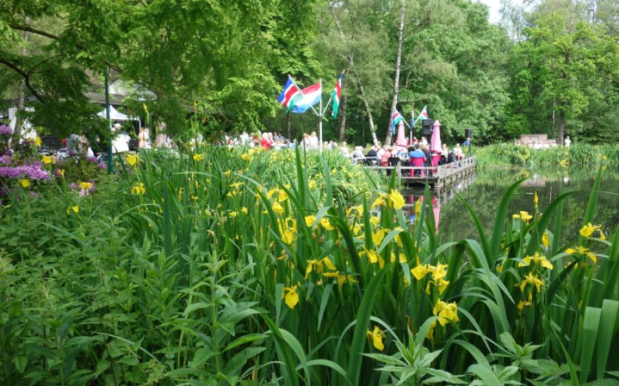 Muziektuin.nl_-aspect-ratio-800-500