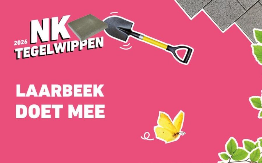 NK-Tegelwippen-Laarbeek-1-aspect-ratio-800-500