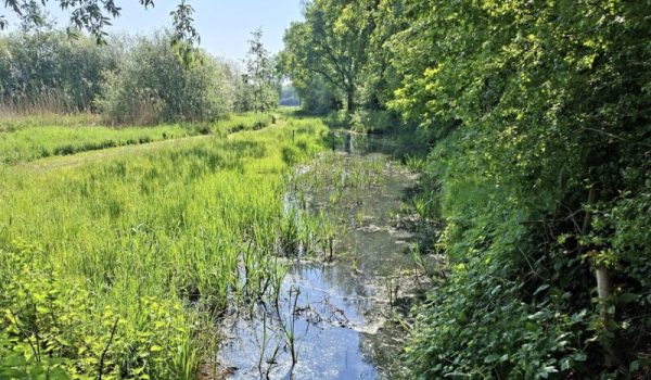 Natuurtuin-aspect-ratio-800-500