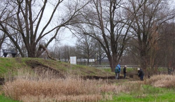 Natuurtuin-bomen-planten-1-aspect-ratio-800-500
