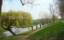 Natuurwerkdag-IVN-Laarbeek-aspect-ratio-800-500 Natuurwerkdag-IVN-Laarbeek-aspect-ratio-800-500
