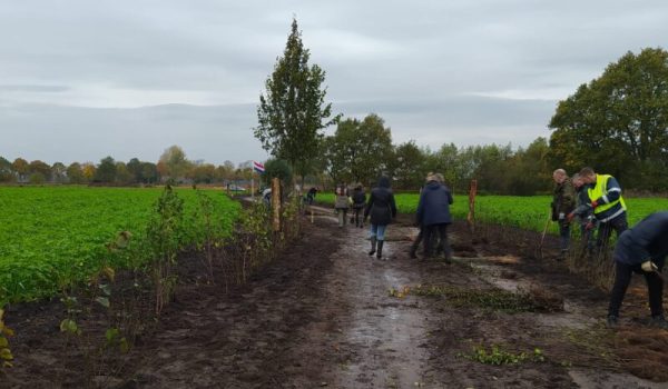 Natuurwerkdagen-Gemert-1-aspect-ratio-800-500