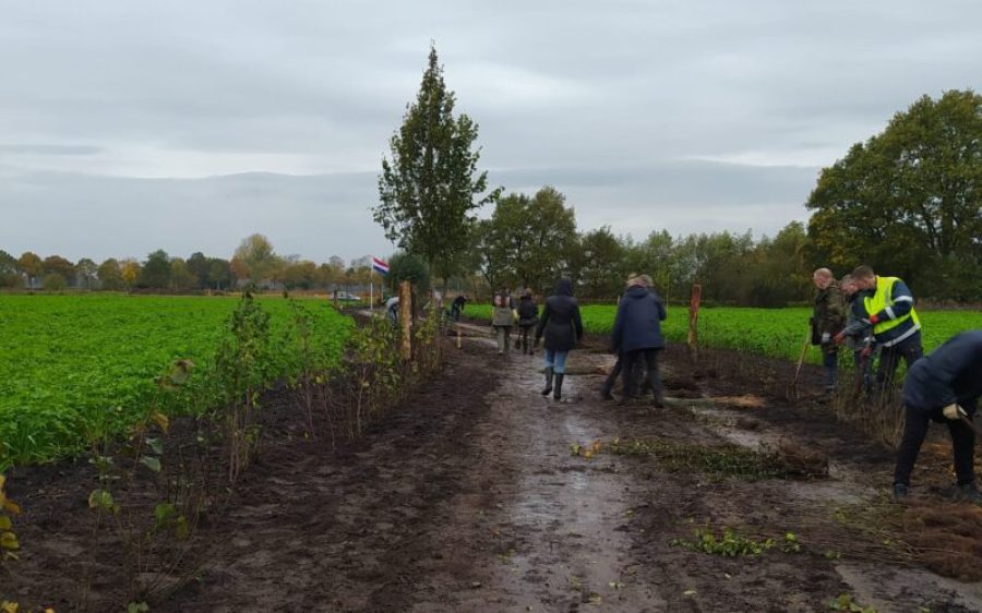 Natuurwerkdagen-Gemert-1-aspect-ratio-800-500