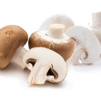 Nesco-witte-bruine-champignons-combi-aspect-ratio-500-500