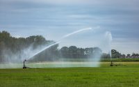 Onttrekkingsverbod grondwater 1-aspect-ratio-800-500