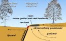 Peelrand-Breuk-aspect-ratio-800-500