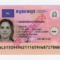 RIJBEWIJS-aspect-ratio-500-500