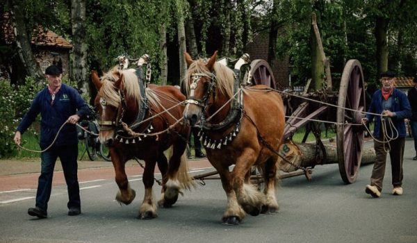 RJ.-1651-scaled-aspect-ratio-800-500