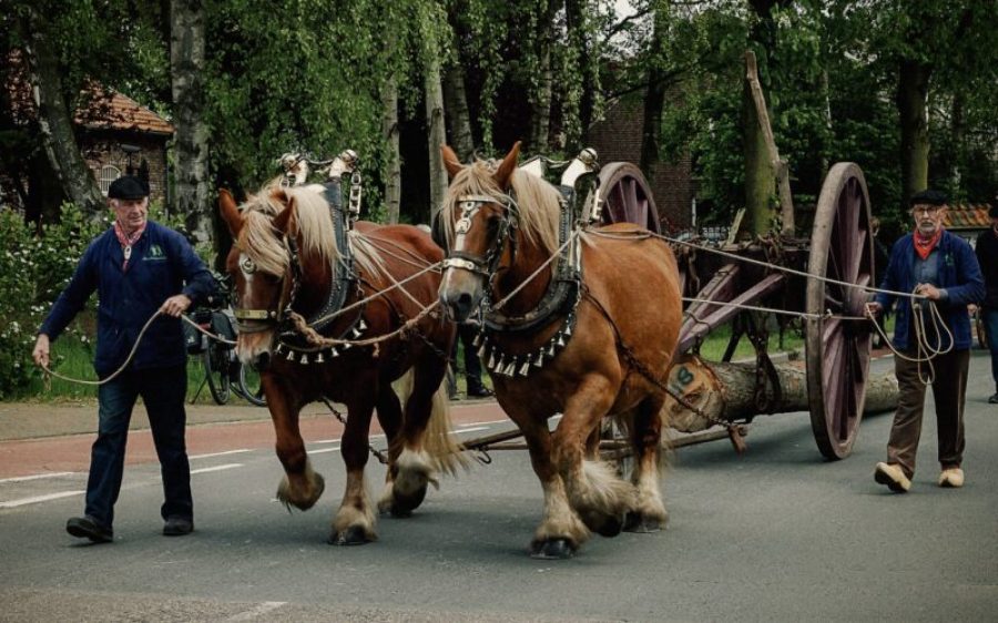 RJ.-1651-scaled-aspect-ratio-800-500