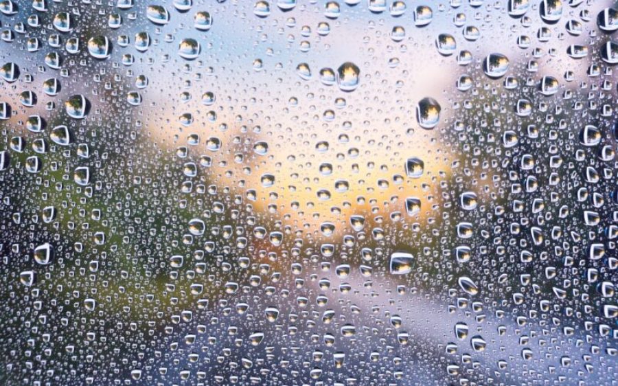 Regenwater-Pixabay-aspect-ratio-800-500