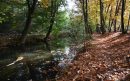 Rips - Herfst Koordekanaal met wandelpad Beestenveld @Janneke de Groot-aspect-ratio-800-500