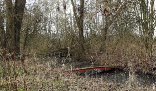 Schevelingse-Loop-2-aspect-ratio-800-500