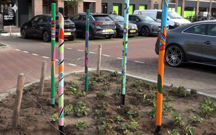 Sequence-01.00_01_54_14.Still002-aspect-ratio-800-500