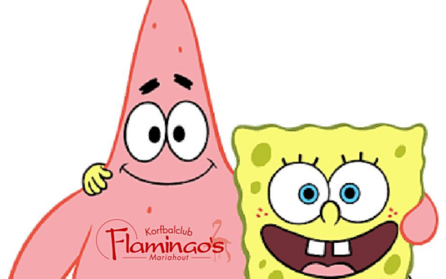 Sponsbobben-aspect-ratio-800-500