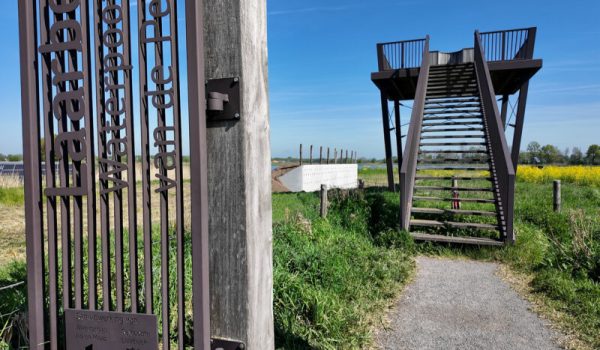 Standaard-browser.00_00_05_14.Still001-aspect-ratio-800-500