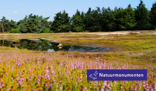 Stippelberg-aspect-ratio-800-500