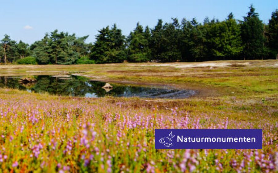 Stippelberg-aspect-ratio-800-500