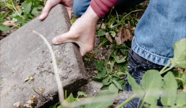 Tegelwippen-aspect-ratio-800-500