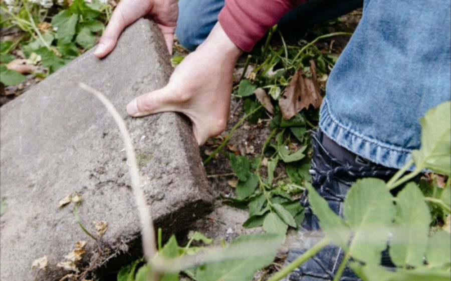 Tegelwippen-aspect-ratio-800-500