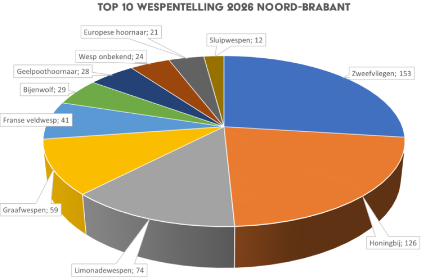 Top-10-wespentelling-2026-Noord-Brabant-aspect-ratio-800-500